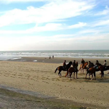In With Stunning Sea View Lägenhet Blankenberge