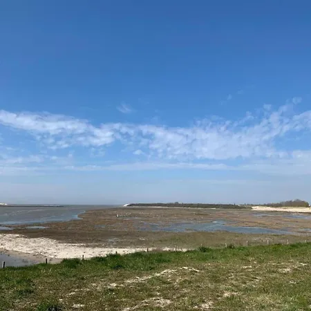 Lägenhet In With Stunning Sea View Blankenberge